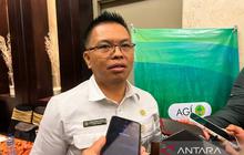 Fakta Menarik: Intervensi Pemerintah Berhasil Jaga Harga Beras Stabil di 196 Daerah, Bagaimana Caranya?
