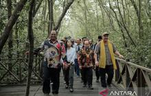 Dana Hibah M4CR Kuatkan Pengembangan Ekowisata Mangrove Penajam Paser Utara