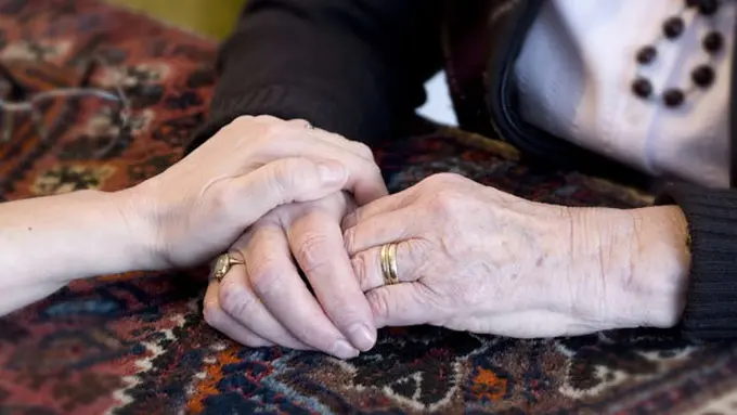 (c) shutterstock.com