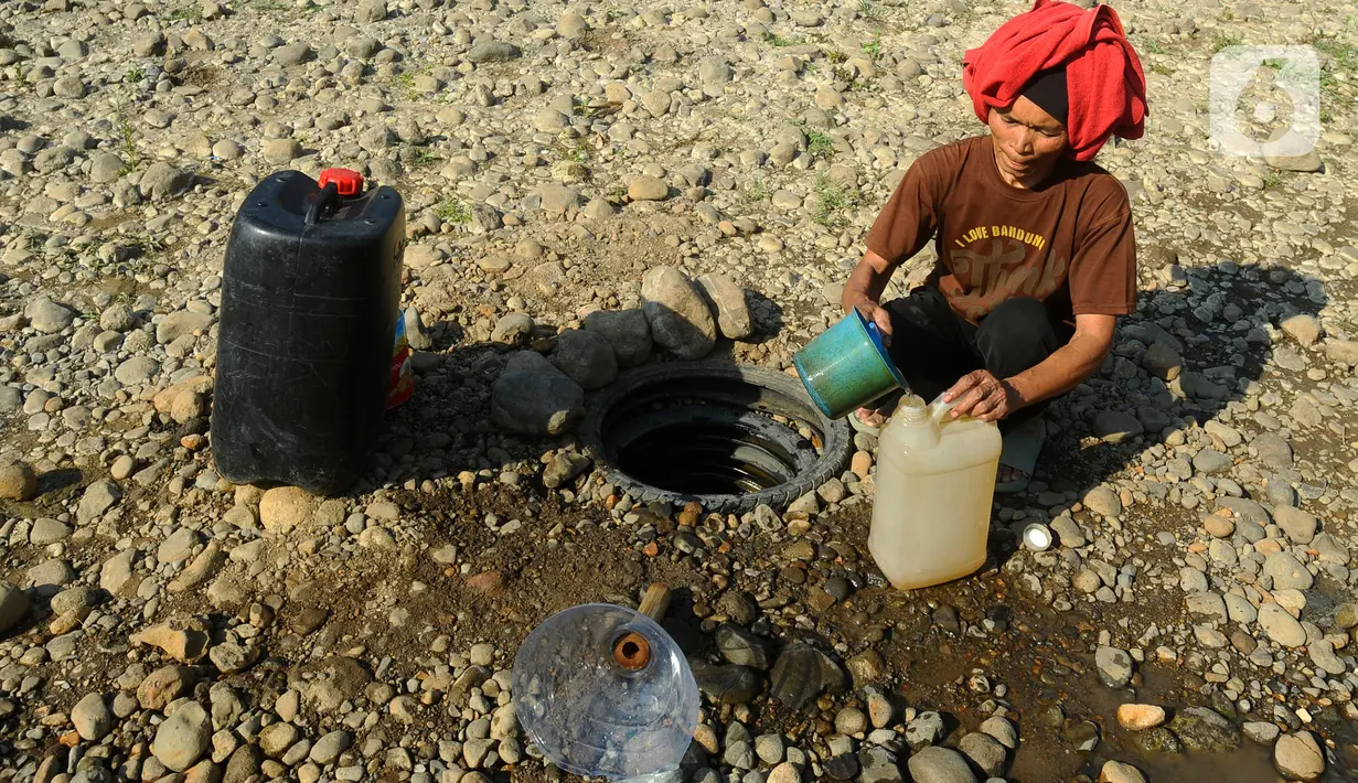 Warga menggali sejumlah sumur di tengah aliran Sungai Cihoe yang mengering. (merdeka.com/Arie Basuki)