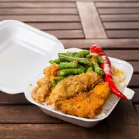 ilustrasi makanan dibungkus styrofoam/copyright by Shutterstock