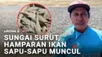Pemandangan tak biasa terlihat di sebuah sungai yang mengering. Gerombolan ikan sapu-sapu mendadak muncul ke permukaan. Jumlahnya yang melimpah, membuat warga ramai-ramai mengambilnya untuk dijual.