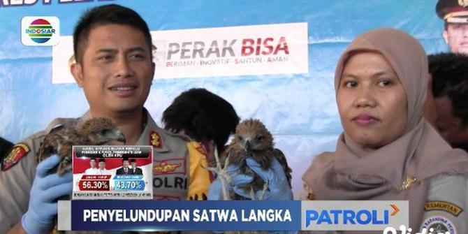 Polisi dan BKSDA Gagalkan Penyelundupan Ratusan Satwa Terlindungi di Surabaya