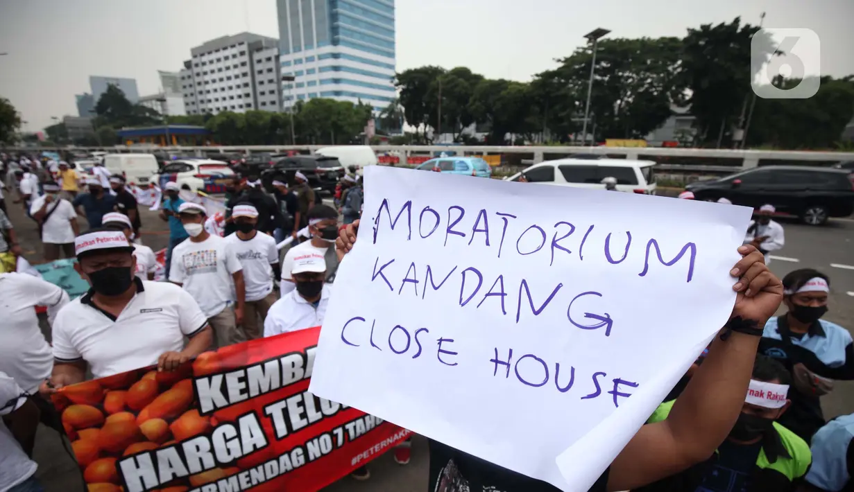 Peternak ayam melakukan unjuk rasa dengan membawa spanduk di depan gedung MPR/DPR/DPD, Senayan, Jakarta, Senin (11/10/2021). Harga telur ditingkat peternak mencapai Rp 12.500 sampai Rp 13.500 per Kilogram, atau jauh dibawah HPP telur yakni berkisar di harga Rp 21.500 per (Liputan6.com/Johan Tallo)