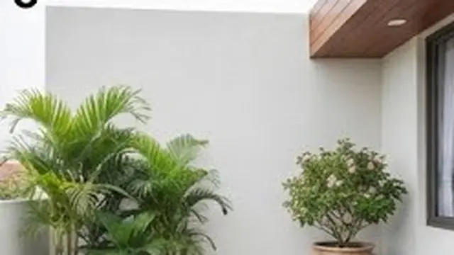Sisakan Ruang agar Teras Tidak Terlihat Sesak