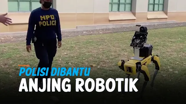 anjing robotik
