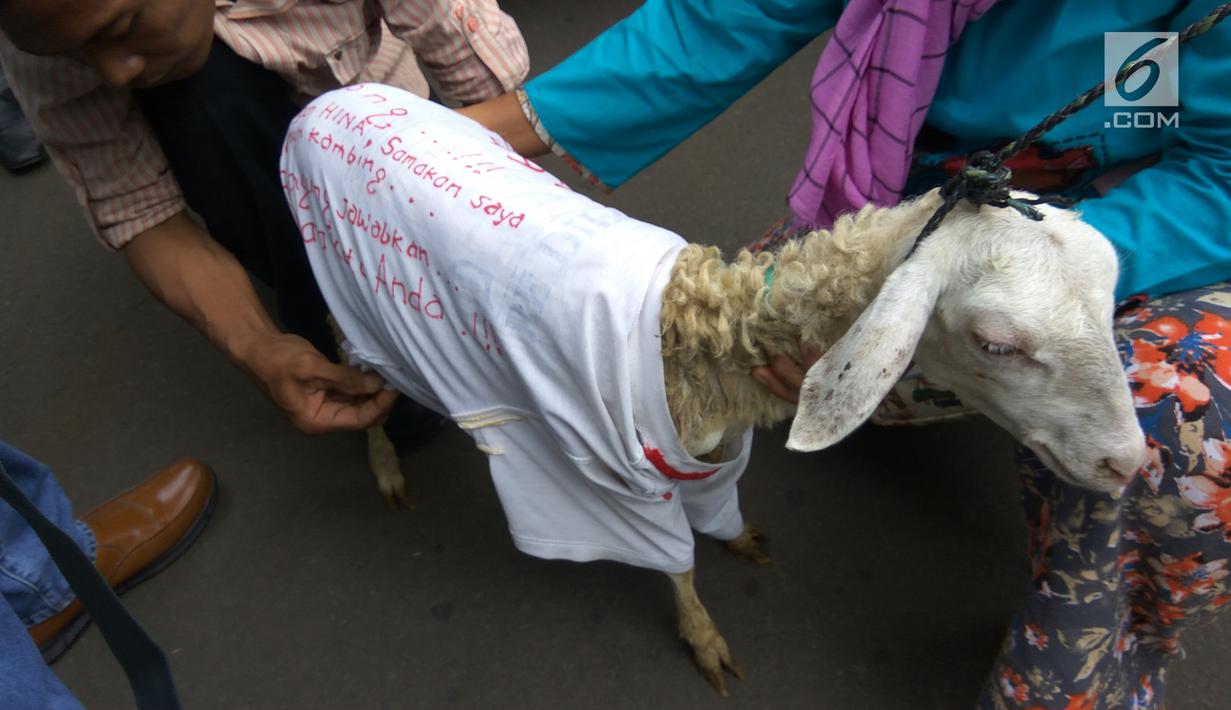 Seekor kambing yang dibawa pengacara Razman Arif Nasution bersama kliennya, Putri Stagi ke Polda Metro Jaya, Rabu (29/11). Putri Stagi mengaku sakit hati karena diminta tes DNA dengan seekor kambing oleh pengacara Ferry Juan. (Liputan6.com/Nafiysul Qodar)