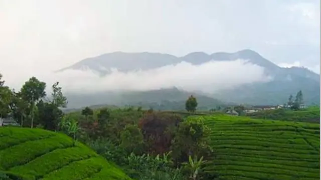 Desa di kaki Gunung Perkison yang ada di Aceh @nuansaalamkita