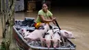 Evangeline Garcia mengayuh perahu memuat anak babi ke tempat aman di Kota Quezon, Metropolitan Manila, Filipina, Jumat (20/7). Banjir diakibatkan hujan musim angin barat daya yang dibawa oleh badai tropis. (AP Phoyo/Aaron Favila)