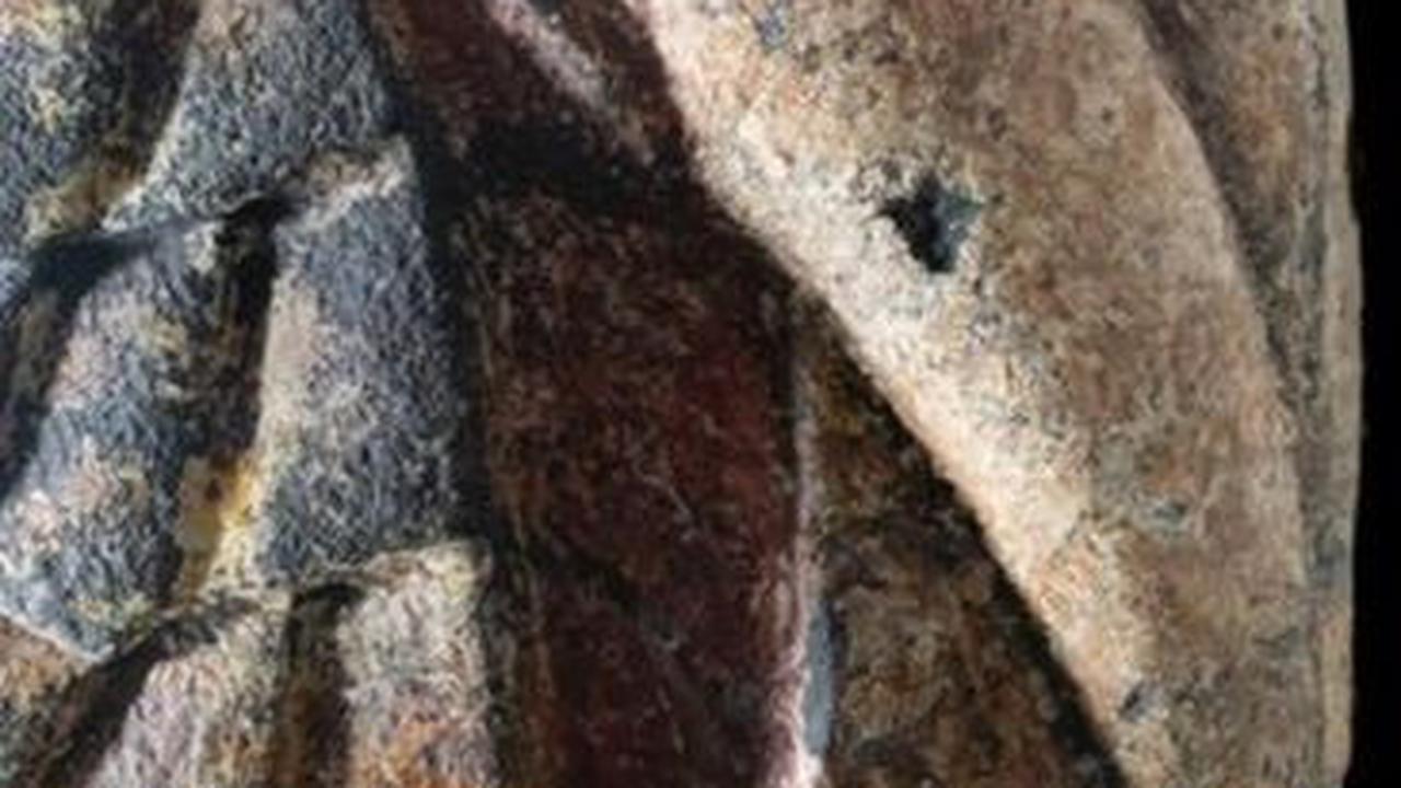 Gara-Gara Gempa, 'Kepala' Ular Raksasa Berusia 500 Tahun Muncul dari Bawah Gedung