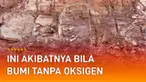 Bukan cuma untuk pernafasan, oksigen juga penting bagi sektor kehidupan lainnya dan bila oksigen lenyap, akan terjadi hal-hal mengerikan selain gangguan pernapasan.