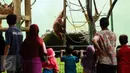 Sejumlah pengunjung melihat satwa orang utan Kalimantan di Kebun Binatang Ragunan, Jakarta, Rabu (9/12/2015). Pemerintah menetapkan libur nasional pada 9 Desember 2015 terkait pelaksanaan Pilkada Serentak. (Liputan6.com/Helmi Fithriansyah)