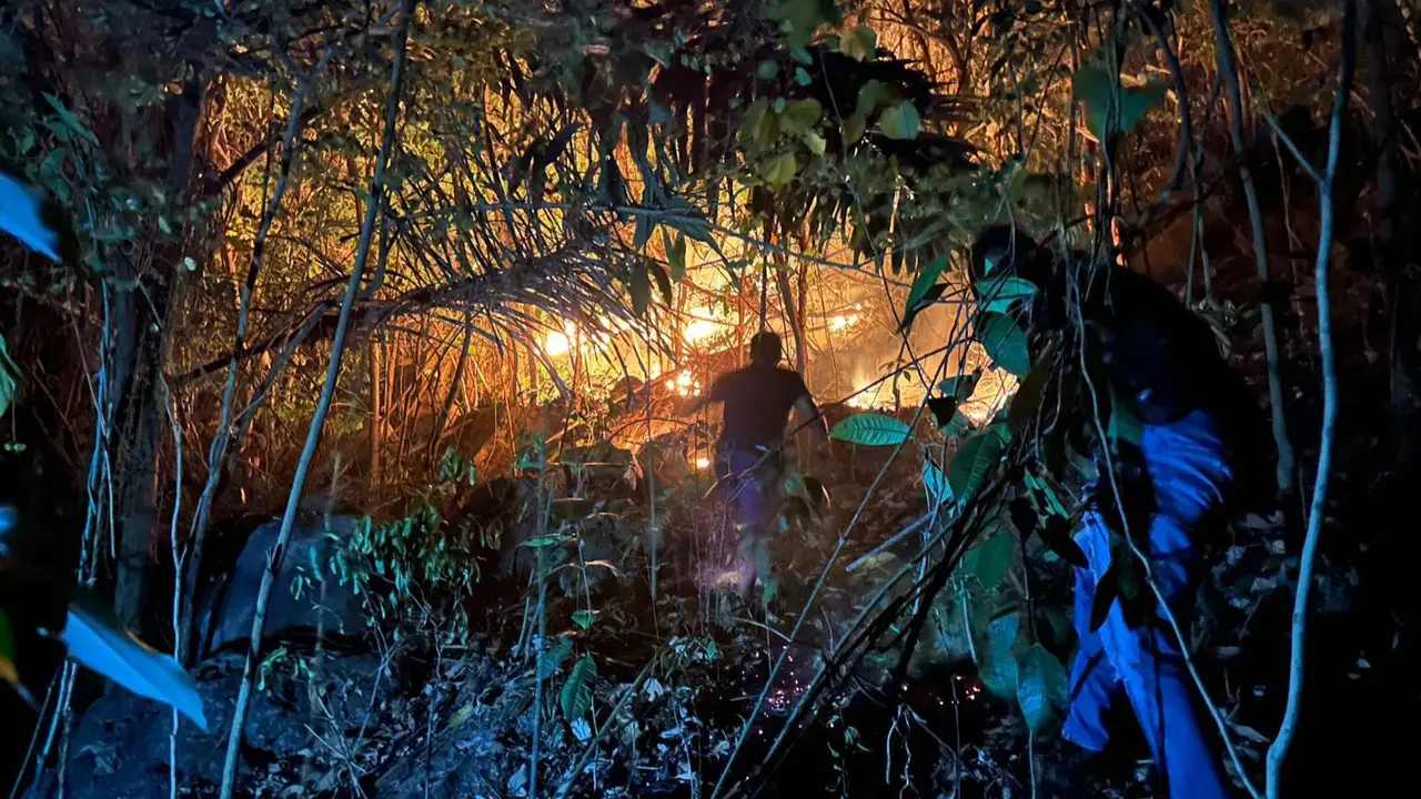 Kebakaran lahan melanda kawasan perbukitan di Pekon Parerejo, Kecamatan Gadingrejo, Kabupaten Pringsewu, Lampung. (Liputan6.com/Istimewa).
