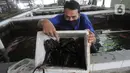 Petani menunjukkan lobster air tawa asal Australia di pembudidayaan BFC Mini Farm di Cipuatat, Banten, Rabu (6/10/2021). Di tengah pandemi, permintaan lobster air tawar untuk konsumi dalam negeri dengan harga antara Rp 150 ribu/kg hingga Rp 275 ribu/kg stabil. (merdeka.com/Arie Basuki)