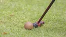 Alat pemukul pada olahraga woodball adalah mallet, sedangkan bolanya terbuat dari kayu. (Bola.com/M Iqbal Ichsan)