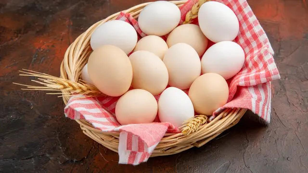 Mana yang Lebih Sehat: Telur Ceplok, Telur Rebus, atau Telur Dadar? Ini Kata Ahli