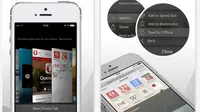 30% Orang Indonesia Akses Internet Pakai Opera Mini