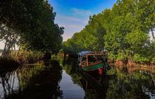 FOTO: Destinasi Wisata Mangrove di Sunge Jingkem Bisa Jadi Pilihan Mengisi Libur Lebaran, Keindahan Alamnya Bisa Bikin Mata Susah Berkedip