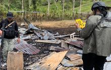 Update Penyerangan Brutal Guru & Tenaga Kesehatan di Yahukimo, 8 Ditangkap Anggota KKB Pimpinan Ohion Helembo