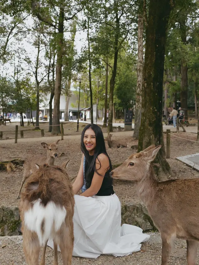 7 Potret Seru Anya Geraldine Main Bareng Rusa di Kota Nara