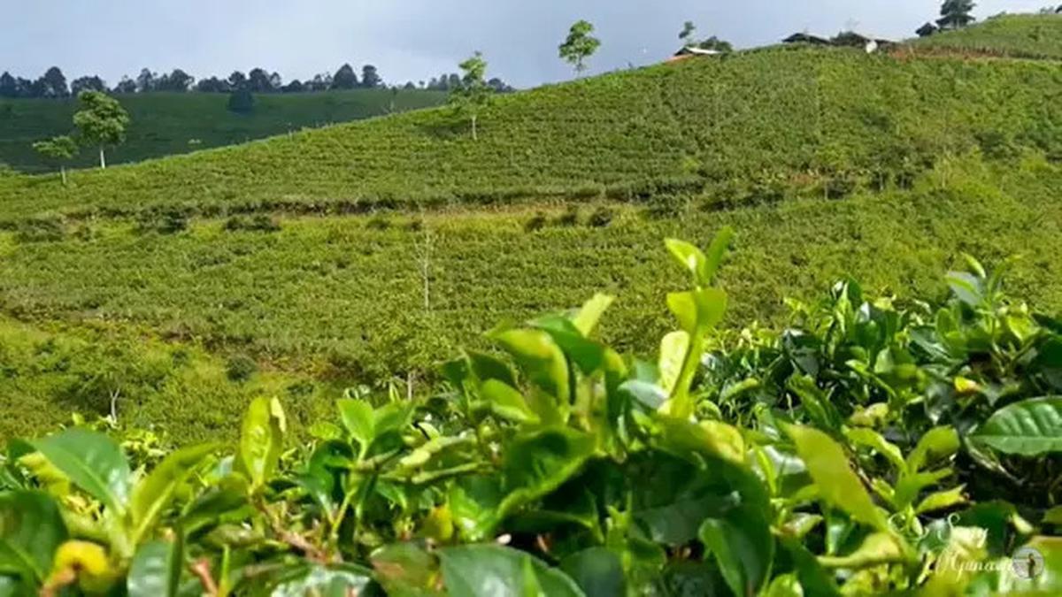 5 Rekomendasi Wisata Murah di Majalengka untuk Isi Liburan Paskah 18 April 2025