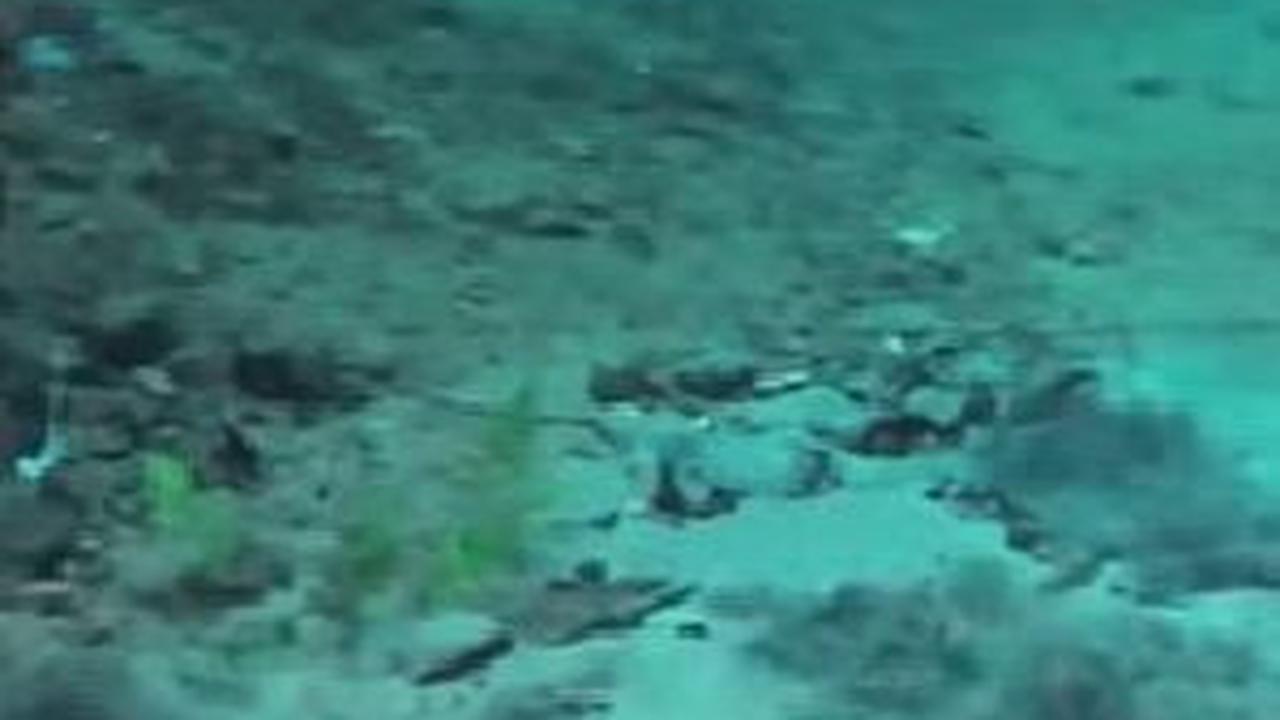 Desa di Magelang Ini Punya Mata Air Abadi, Sumber Air Jernih Melimpah Muncul dari Dasar Kolam