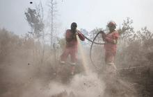 Kemenhut Intensifkan Pemadaman Karhutla Riau, Manggala Agni Berjibaku di Lapangan