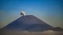 Gunung Semeru mengeluarkan asap pada kawasan Taman Nasional Bromo Tengger Semeru (TNBTS) dari puncak penanjakan 1 di Kabupaten Pasuruan, Jawa Timur, Kamis, 13 Agustus 2026. (AFP/ Juni Kriswanto)