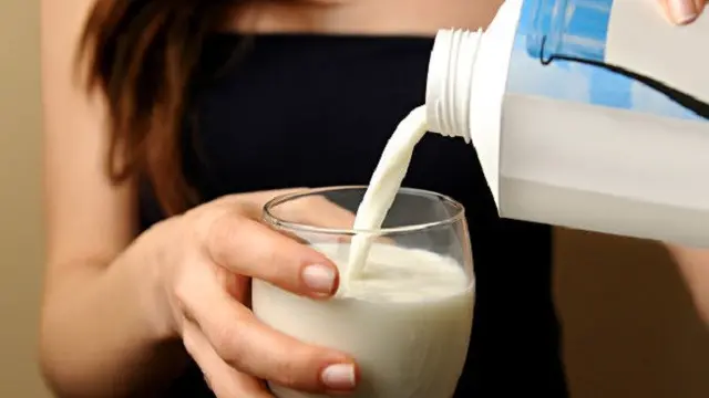 susu keledai