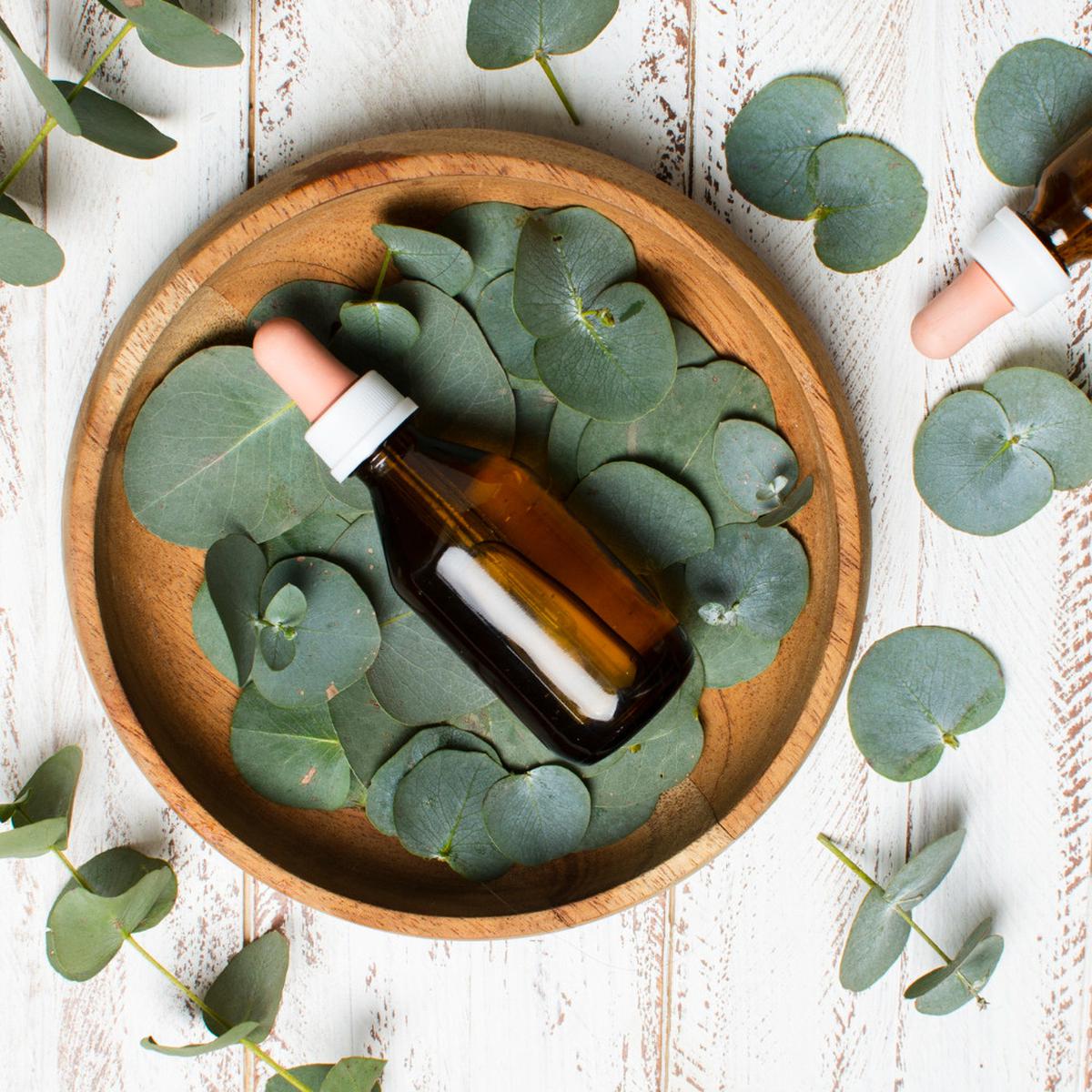 Ilustrasi Minyak Esensial Aroma Eucalyptus (©Freepik)