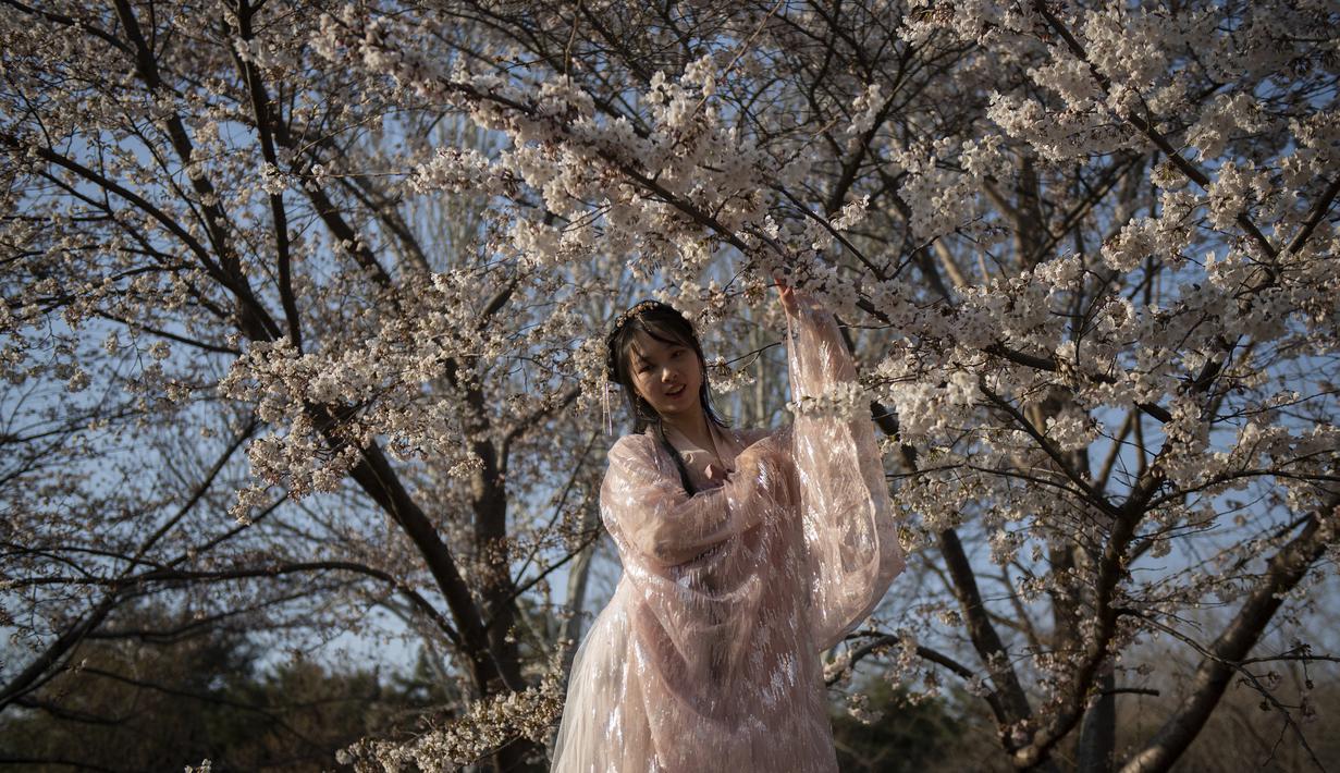 FOTO Berburu Bunga  Sakura  di Taman Yuyuantan Beijing 