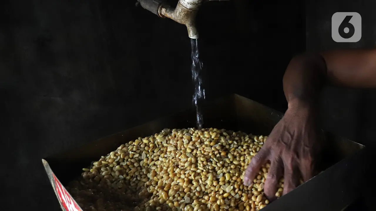 RI Impor 350.000 Ton Kedelai dari Amerika
