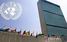 Legislator Dukung Penuh Indonesia Jadi Presiden Dewan HAM PBB 2026, Perkuat Citra Global