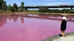 Pengunjung mengambil gambar sebuah danau yang berubah warna menjadi pink di Westgate Park, Melbourne, Australia, Senin (4/3). Warna tersebut merupakan campuran dari udara hangat, cahaya matahari, sedikit hujan dan tingginya kadar garam. (William WEST/AFP)