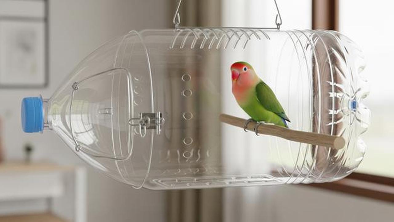 8 Desain Kandang Lovebird dari Botol Bekas, Kreatif dan Hemat Biaya