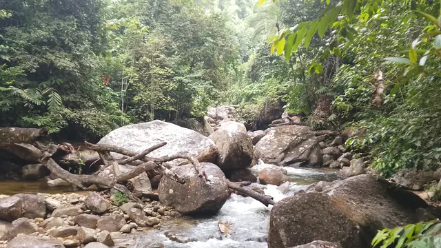 Sungai di Gunung Rajah, Malaysia