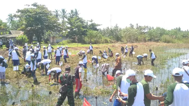 Program penanaman mangrove oleh Kehati, Asahimas, dan warga di Pandeglang, Banten, Rabu 22 Desember 2021 (Foto: Liputan6.com/MHT)