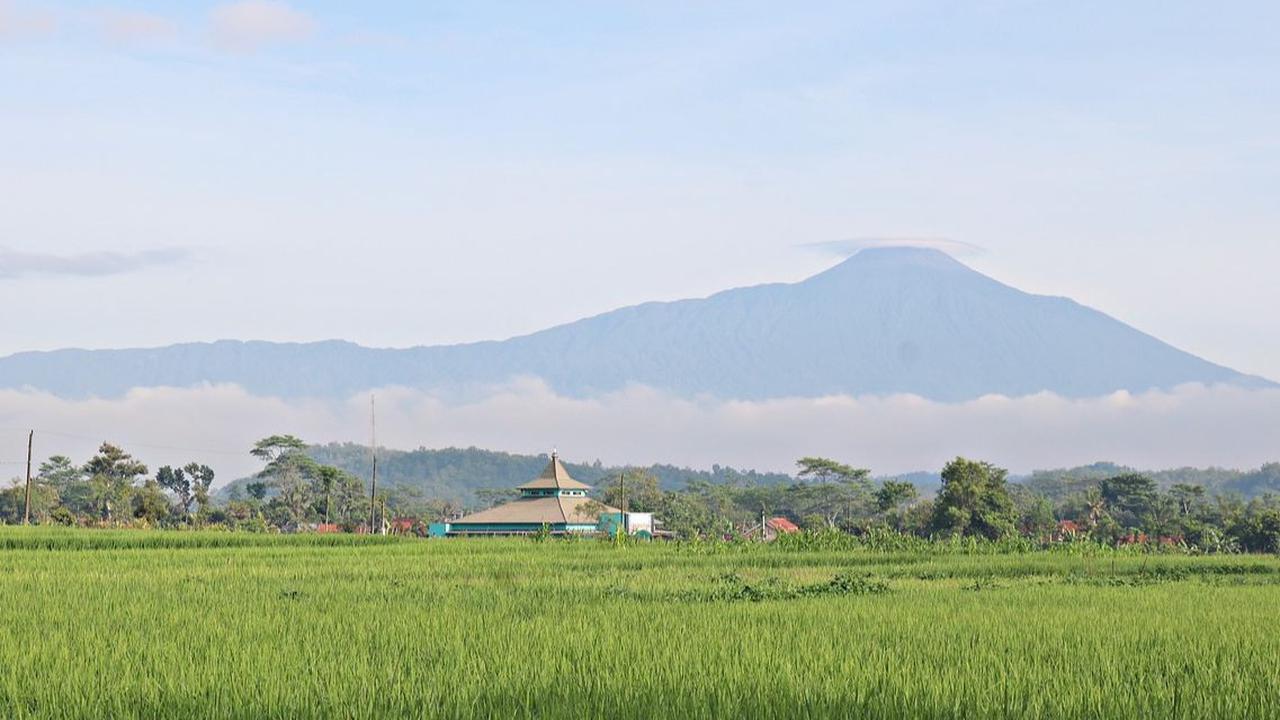 Penampakan Manusia Kerdil