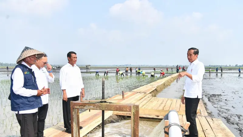 Presiden Tinjau Pompanisasi Kementan di Lampung Selatan