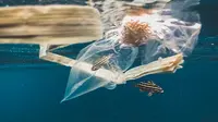 Ilustrasi sampah plastik di laut. (dok. unsplash @naja_bertolt_jensen)