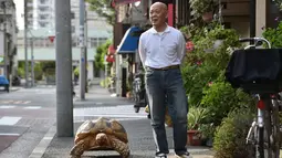 Pria Jepang bernama Mitani Hisao punya hobi jalan-jalan keliling Ibu Kota Tokyo dengan kura-kura raksasa peliharaannya. Dia memelihara kura-kura itu dari ukuran diameter lima sentimeter hingga sekarang 75 sentimeter. (AFP Photo/Kazuhiro Nogi)