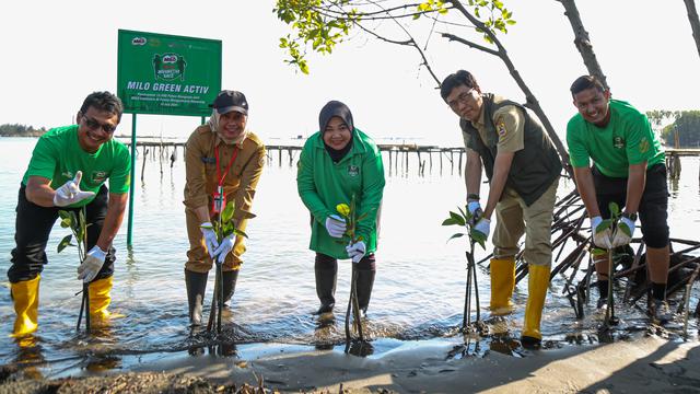 Tanam Mangrove.