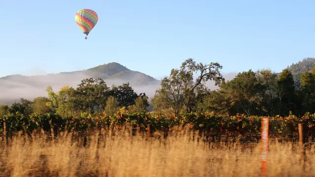 Napa Valley
