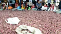Pembangunan Bendung Karet Jadi Solusi Produktivitas Petani Bawang