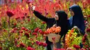 Pengunjung berswafoto saat mengunjungi taman bunga celosia di Banda Aceh, Sabtu (13/7/2019). Taman bunga celosia ini menjadi destinasi wisata baru di Banda Aceh. (CHAIDEER MAHYUDDIN/AFP)