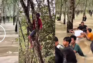 Detik-detik evakuasi seorang pria terjebak arus di kawasan perkebunan karet di Jalan Way Galih, Kecamatan Tanjung Bintang. (Foto: Istimewa)