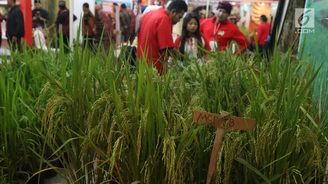 Rakornas PDIP