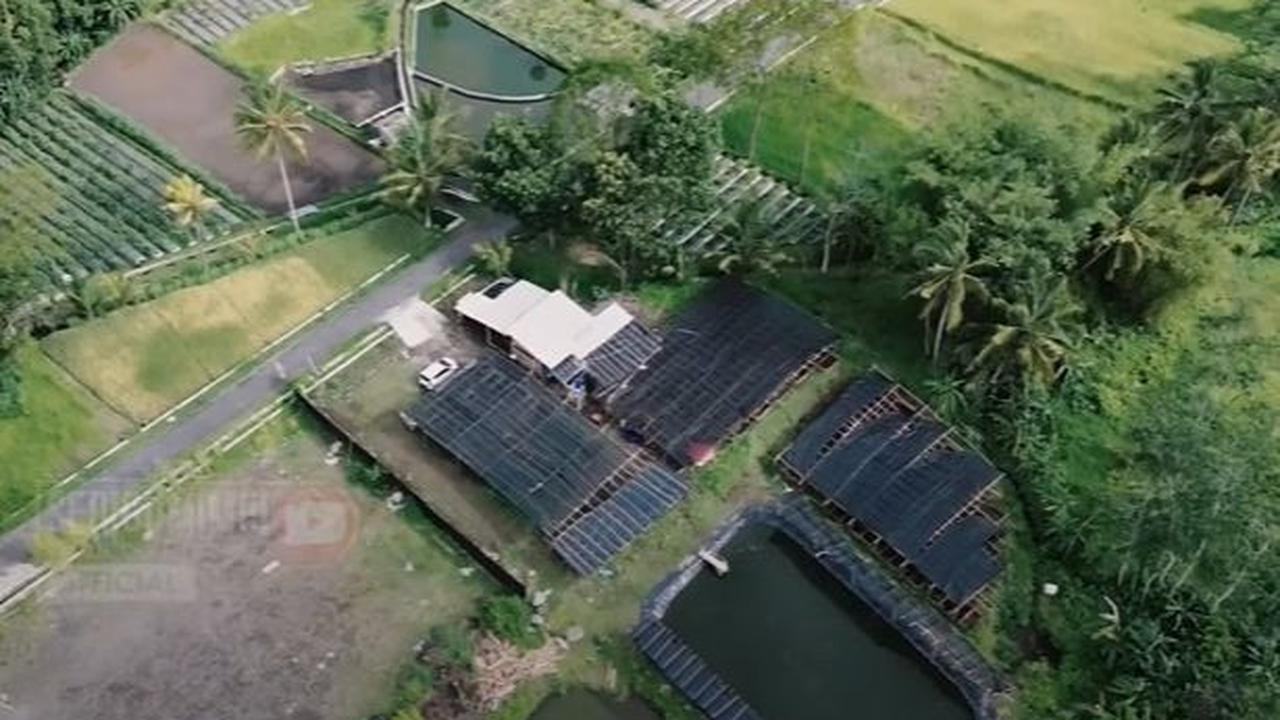 <b>Sukses Kembangkan Bisnis</b>