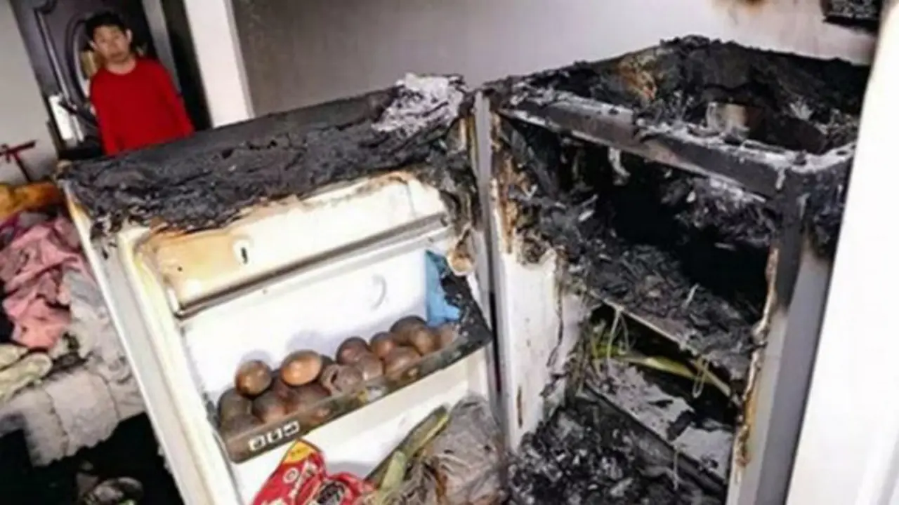 Tak semua makanan atau minuman bisa dimasukkan ke dalam kulkas, apalagi di bagian pembekunya.