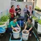 Ide Ternak Lele Ember untuk Ibu-Ibu PKK Modal Kecil (AI)